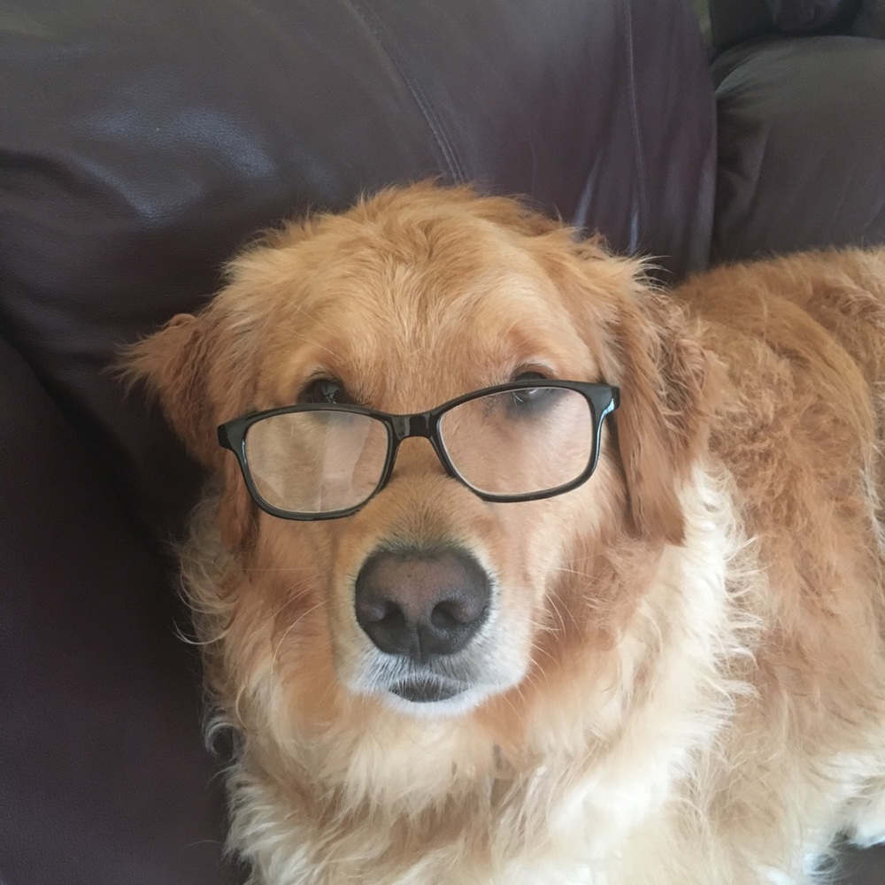 Meet your Posher, Anisha